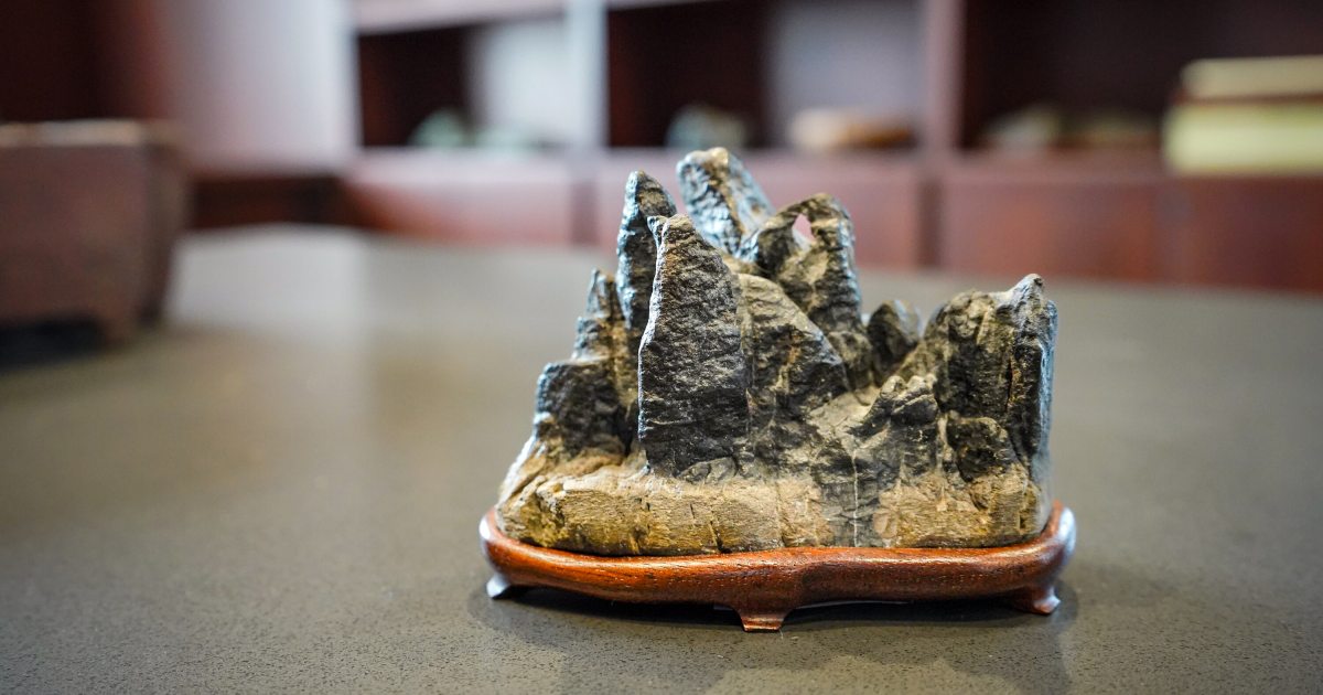 Stewarding Suiseki | Longwood Gardens